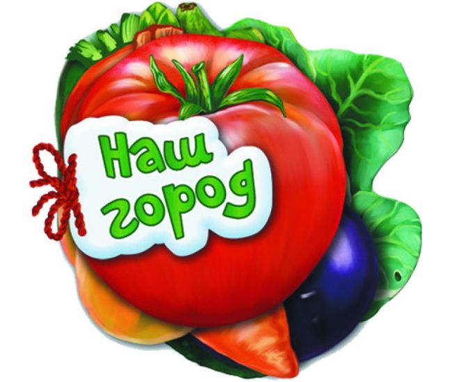 Відгадай-но Наш город Ранок Ірина Сонечко - Видавництво Ранок - ISBN 9789663133683