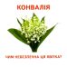 Раздаточные карточки. Съедобное и несъедобное Ранок Мини-карточки - Издательство Ранок - ISBN 9789666792399