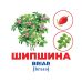 Гений с пеленок Деревья и кустарники Демонстрационный материал Ранок - Издательство Ранок - ISBN 4823076151607
