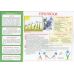 Альбом Творчество в детском саду Ранок 3-4 года. Часть 2 Панасюк - Издательство Ранок - ISBN 4823076128142
