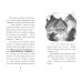 Тото. Кішка-ніндзя і легенда про дикого кота. Книга 5 Дермот О'Лірі Ранок - Видавництво Ранок - ISBN 9786170974341