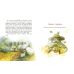 Пасіка Україна та інші казки з війни Ранок Дара Корній - Видавництво Ранок - ISBN 9786170985675