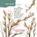 Стишки-загадки для малышей. 3-5 лет Основа Мамина библиотечка Юлия Пелихова - Издательство Основа - ISBN 9786170043283