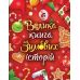 Большая книга зимних историй Ранок (Геннадий Меламед, Ирина Сонечко) - Издательство Ранок - ISBN 9786170929136