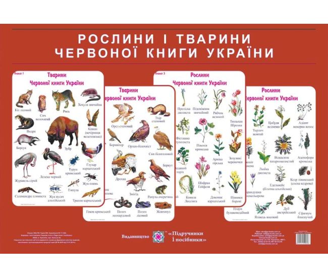 Растения и животные красной книги Украины Пiдручники i посiбники Комплект плакатов + методические рекомендации Грибчук - Издательство Пiдручники i посiбники - ISBN 2255555500606