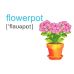 НУШ Набор карточек на английском языке Пiдручники i посiбники English: flashcards. My house Мой дом - Издательство Пiдручники i посiбники - ISBN 2255555502006