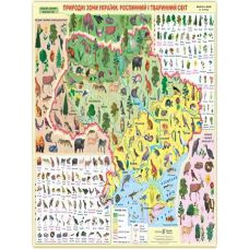 Плакат школьный: Природные зоны Украины. Растительный и животный мир - Издательство Пiдручники i посiбники - ISBN 2255555501283