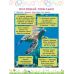 НУШ Секрети знань АССА Зустрічай 2 клас Тетяна Квартник, Олена Шаповал - Видавництво АССА - ISBN 9786178229047
