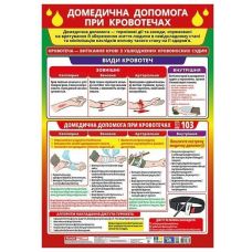 Плакат. Доврачебная помощь в случае остановки дыхания и прекращения сердечной деятельности Ранок - Издательство Ранок - ISBN 4848366988879