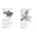 ЗНО/НМТ 2026 Ранок География. Тестовая тетрадь (Капирулина, Бродовская) - Издательство Ранок - ISBN 9786170999825