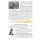 НУШ Учебник Грамота Украинская литература 9 класс Яценко и др. 2026 год