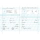 НУШ Комплект Прописи Пiдручники i посiбники Зошит для письма і розвитку мовлення 1 клас, в 2 частинах до підручника Вашуленко + Наліпки