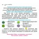 НУШ Рабочая тетрадь Орион Я исследую мир 1 класс Часть 2 Грущинская