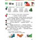 НУШ. Учебник для 1 класса: Букварь часть 2 (Большакова)
