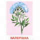 НУШ. Демонстрационный материал. Расскажем детям о лекарственных растениях
