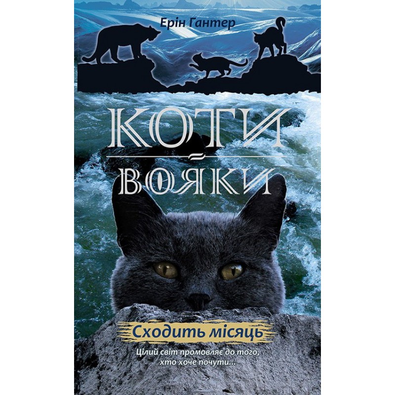 Коты Воины АССА Подарочный набор из 6 книг Второй цикл