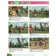 НУШ Учебник Лингвист Quick Minds 3 (Ukrainian edition) Pupil's Book Английский язык 3 класс Пухта