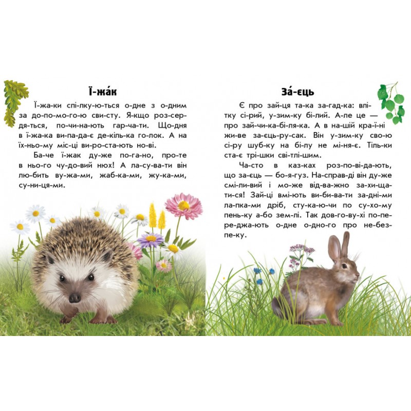 Книга Читаю об Украине. Животные лесов Ранок