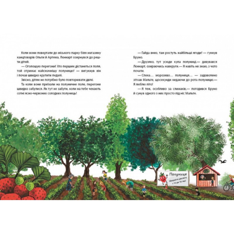 Книга Лето на Бузиновой улице. Мартина Баумбах Ранок