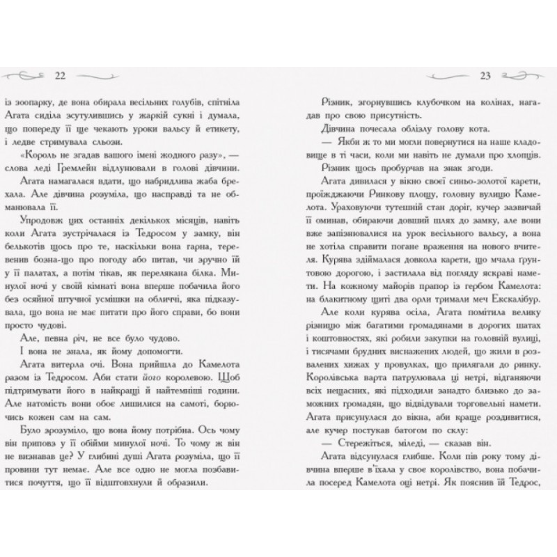 Школа Добра и Зла. В поисках славы. Книга 4 Ранок Чейнани Зоман