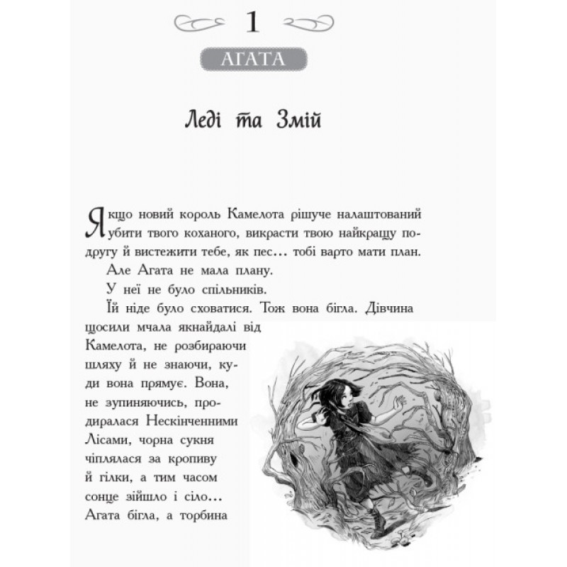 Школа Добра и Зла. Кристалл времени. Книга 5 Ранок Чейнани Зоман