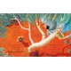 Книга Как коалу гулять вызвал Ранок Маленькие истории о чудесах и дружбе Рэйчел Брайт