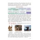 НУШ Учебник Ранок Искусство 5 класс интегрированного курса Рубля, Мед