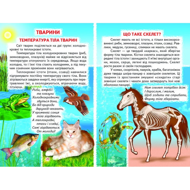 Животные и растения Белкар-книга Познаем мир вместе