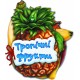 Отгадай-но Тропические фрукты Ранок Ирина Сонечко