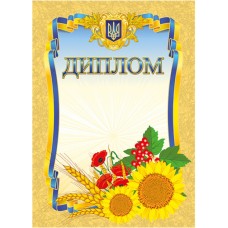 Комплект 5 шт Диплом мармуровий з місцем для привітання Ранок