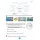 НУШ Рабочая тетрадь Генеза Биология 7 класс Практические работы Кулинич