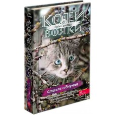 Коти-вояки АССА Знамення Зореклану Книга 2. Стихле відлуння