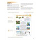 НУШ Книга для учителя Лингвист Smart Junior for Ukraine НУШ 4 Teacher's Book Английский язык 4 класс Митчелл