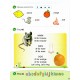 НУШ Прописи Лингвист Smart Book for Ukraine НУШ 1 Student's Book SJ + CD Митчелл