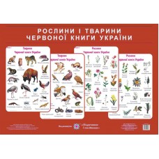 Растения и животные красной книги Украины Пiдручники i посiбники Комплект плакатов + методические рекомендации Грибчук