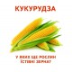 Раздаточные карточки. Съедобное и несъедобное Ранок Мини-карточки