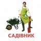 Раздаточные карточки. Профессии Ранок Мини-карточки