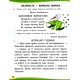 НУШ-2 Буквар Українська мова 1 клас Освіта Вашуленко КОМПЛЕКТ із 6-ти частин