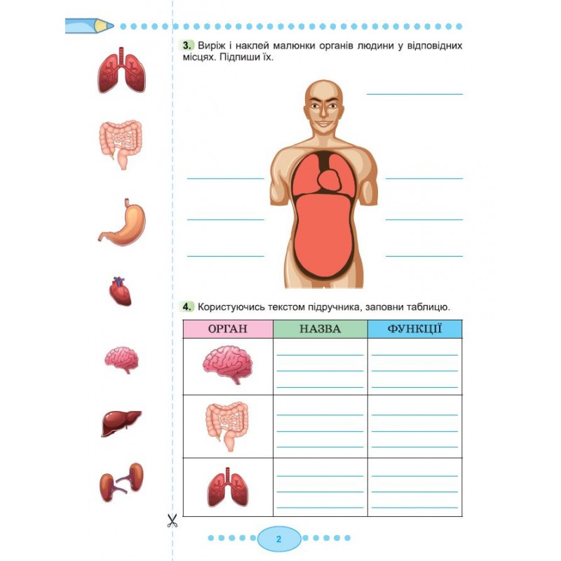 НУШ-2 Рабочая тетрадь Генеза Я исследую мир 3 класс по интегрированному курсу Часть 2 к учебнику Гильберг (2025 год)