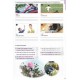 НУШ Рабочая тетрадь Лингвист Full Blast Plus for Ukraine 8 Workbook Английский язык 8 класс Митчелл Г.К. (2025 год)