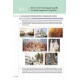 НУШ Учебник Освіта История Украины 8 класс Пометун Елена (2025 год)